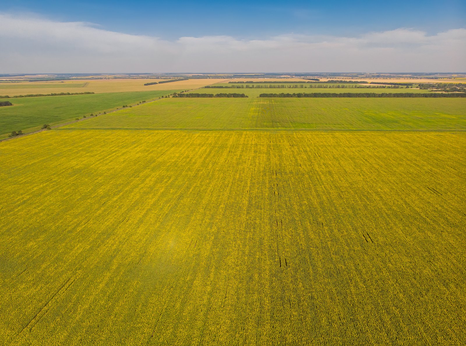 Trevoc Royal Residences